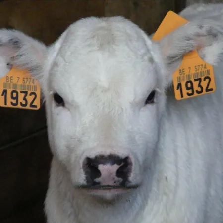 Ferme Hurlet Дом отдыха *