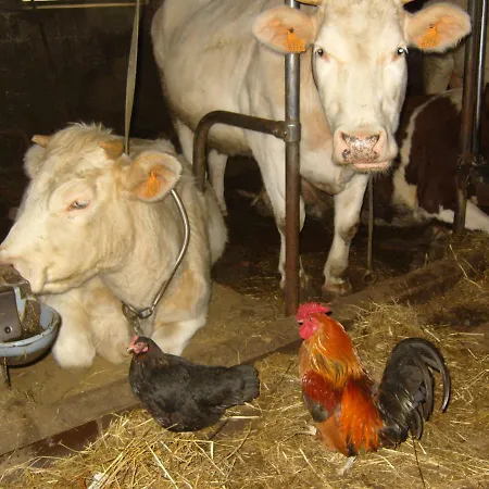 Ferme Hurlet Дом отдыха Ставело